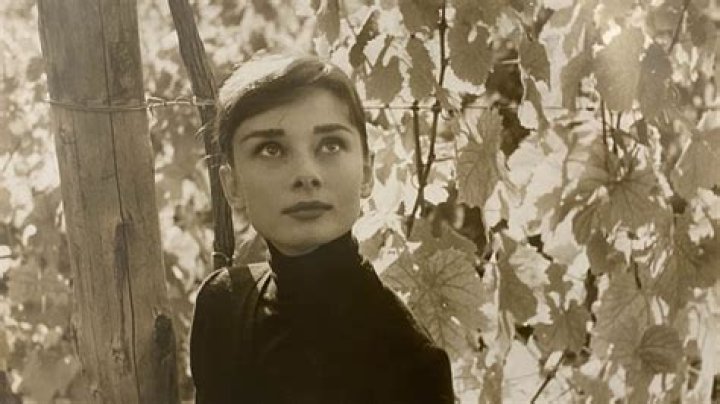 Audrey Hepburn Net Worth at Death: A Timeless Legacy of Grace and Glamour