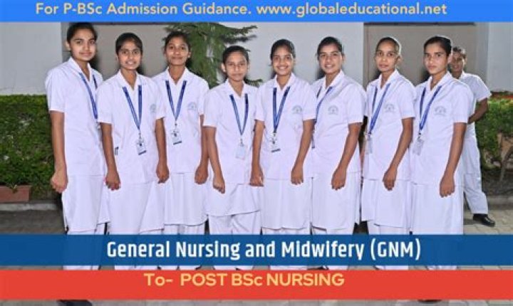 Best Government Nursing Colleges in Himachal Pradesh: A Comprehensive Guide