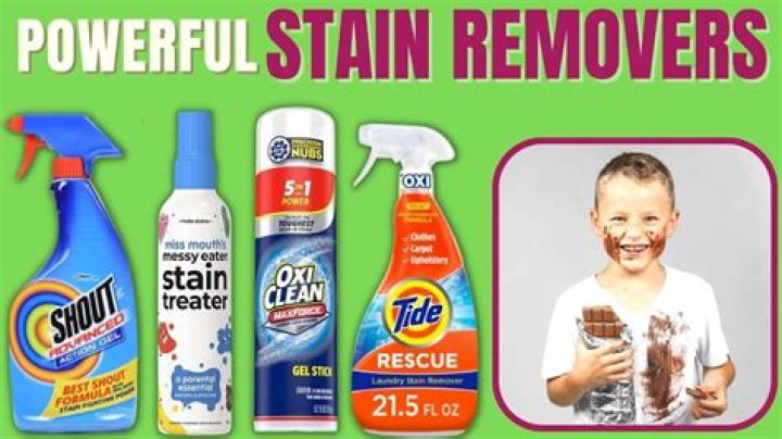 Best Stain Remover for Dried-In Stains: A Comprehensive Guide