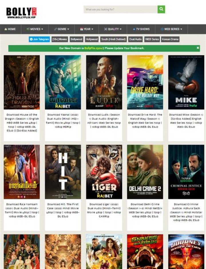 BollyFlix From: Unveiling the World of Streaming Indian Movies