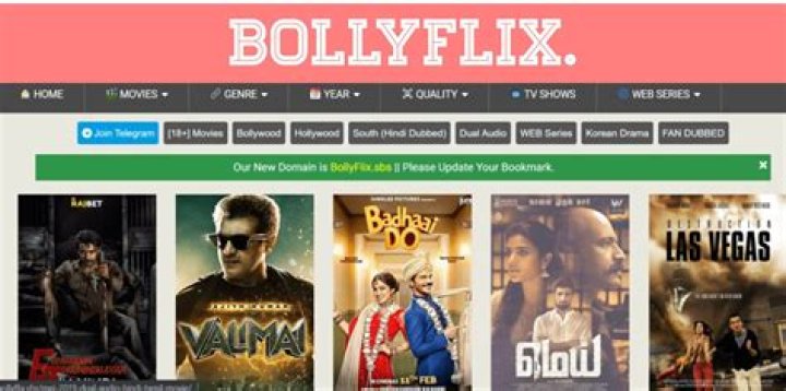 BollyFlix Jawan Movie: Your Ultimate Guide to Streaming and Entertainment