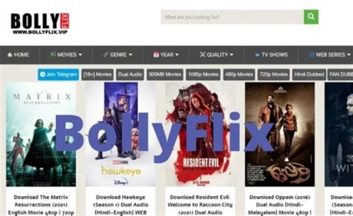 Bollyflix You Season 1: The Ultimate Guide for Fans