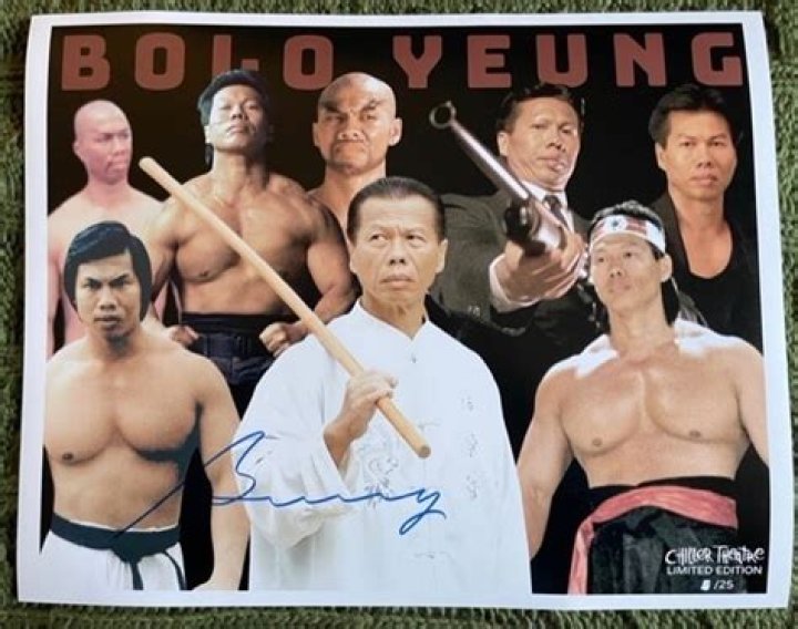 Bolo Yeung Net Worth: Unveiling the Wealth of a Martial Arts Legend