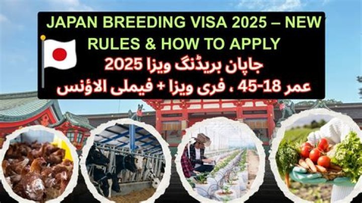 Breeding Visa Japan 2024: A Comprehensive Guide for Expats and Investors
