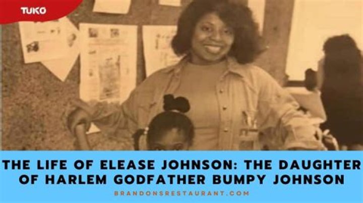 Bumpy Johnson's Daughter: The Legacy and Life of a Notable Figure