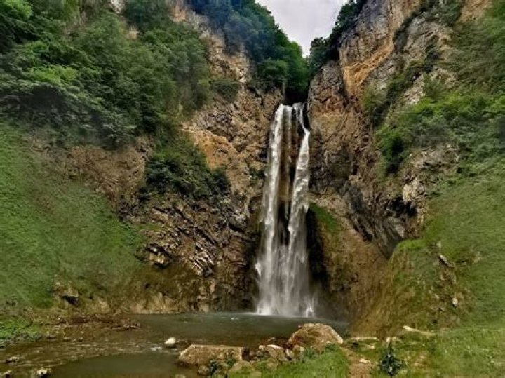 Discover the Enchanting Beauty of Chi Forest: A Comprehensive Guide