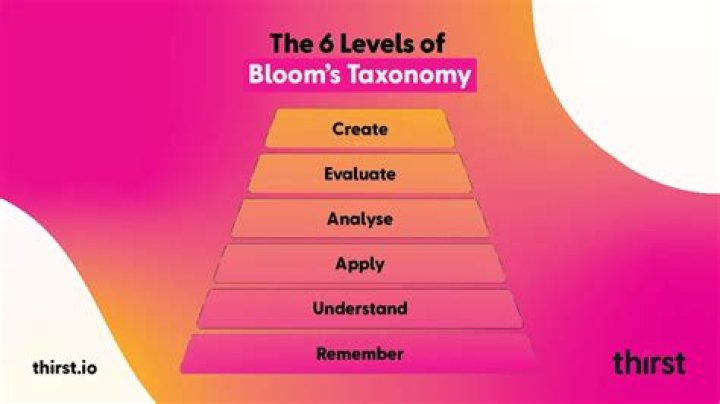 Discovering the Allure of Look2: A Journey into Style and Personality