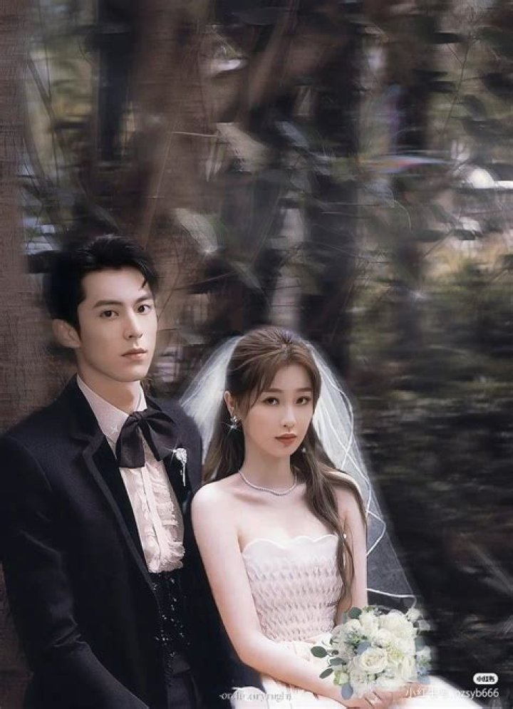 Dylan Wang's Partner: Unraveling the Mystery Behind the Celebrity's Love Life