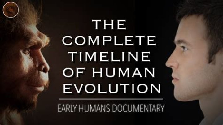 Exploring the Fascinating History of Humanity: A Journey Through Time