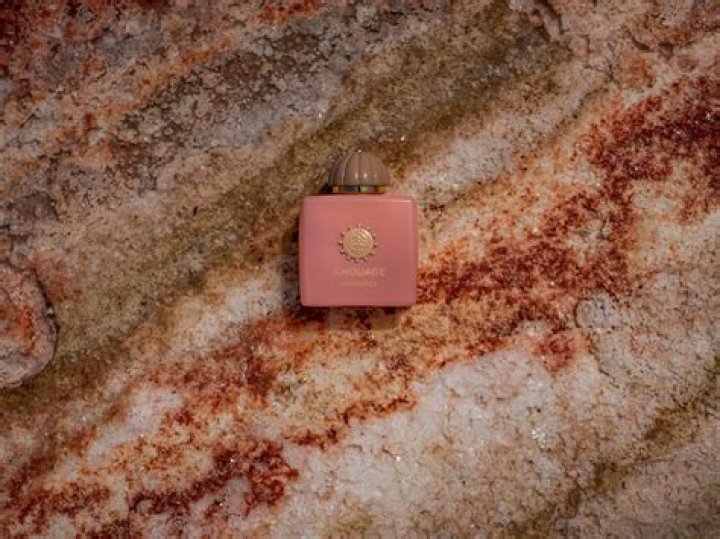 Liam Gallagher's Partner: A Deep Dive into His Love Life and Relationships