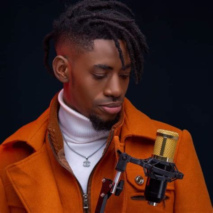 Liam The Voice: The Journey of a Rising Star