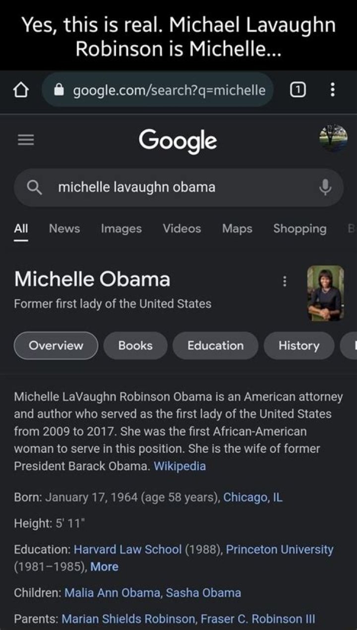 Michael Lavaughn Robinson: The Life and Legacy of a Cultural Icon