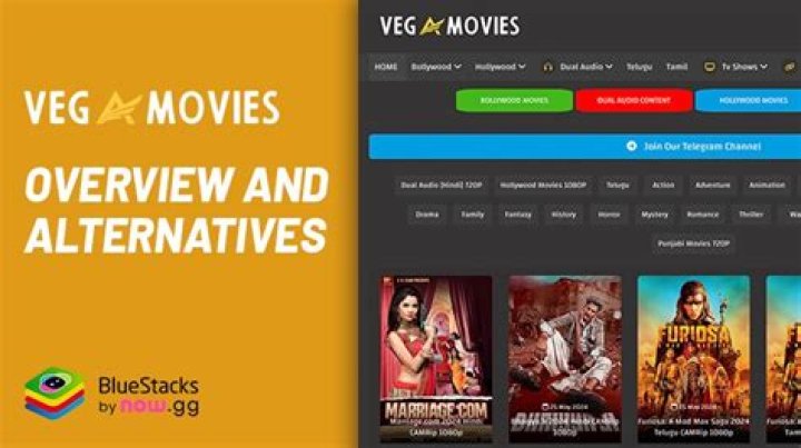 MKV Movies Point: Your Ultimate Guide to Vegamovies Download