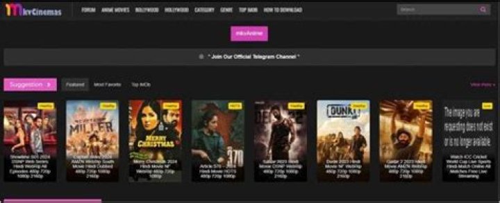 MKV Movies Point: Your Ultimate Rest Movies Download Hub