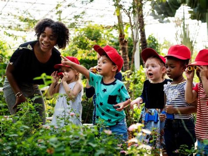 Nelly Children: Exploring the World of Kids' Entertainment and Education