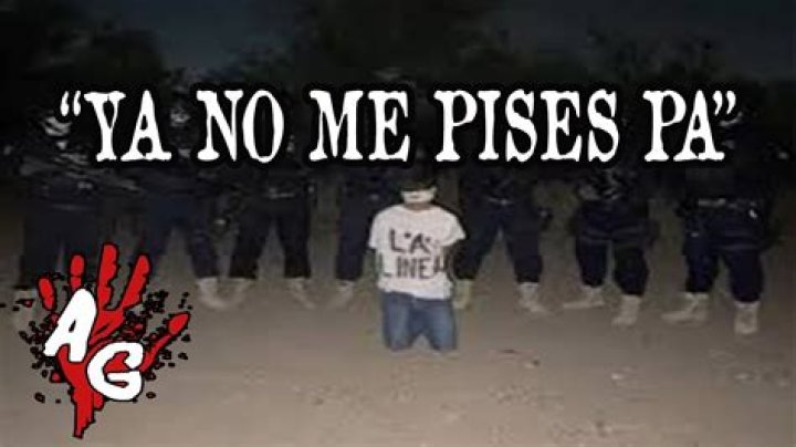 No Me Pises Pa Gore: The Cultural Phenomenon You Need to Know About