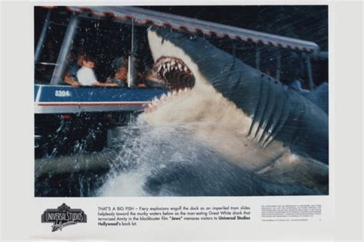 The Iconic Cast of Jaws: A Deep Dive into the Characters Behind the Classic Film