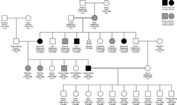 The Intriguing Journey of the Whitaker Family Tree