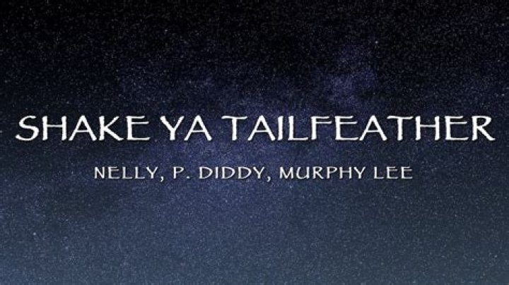 Unleashing the Groove: P Diddy Feat Nelly & Murphy Lee - Shake Ya Tailfeather