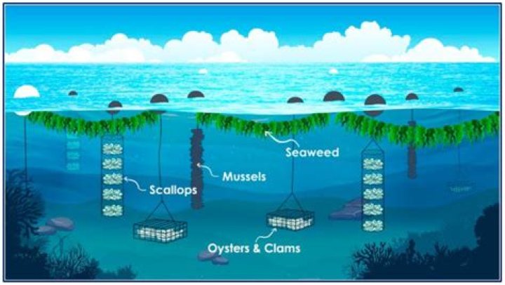 Unleashing the Power of Now GG: An In-Depth Exploration