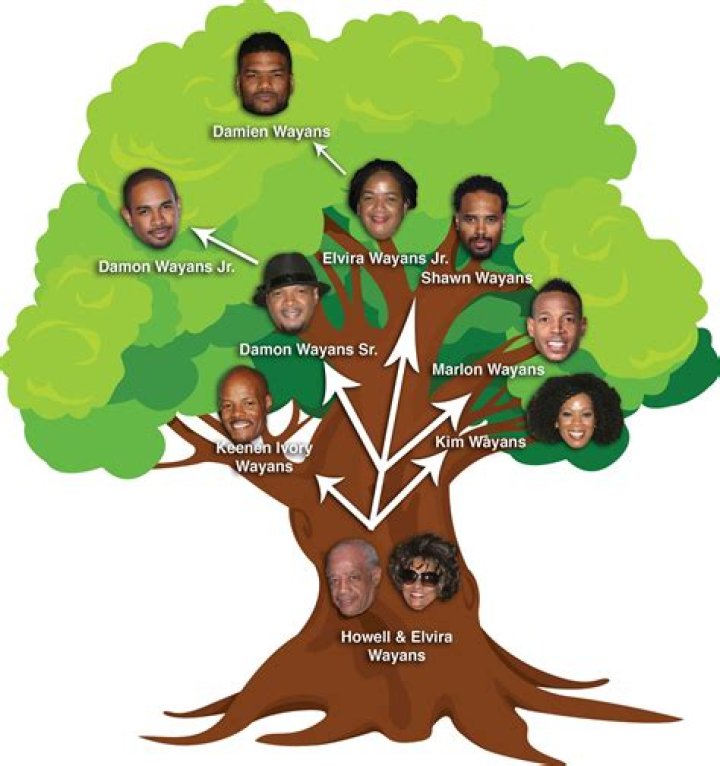 Unraveling the Wayans Family Tree: A Legacy of Laughter