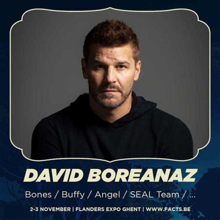Unveiling the Charismatic Journey of David Boreanaz in 2023