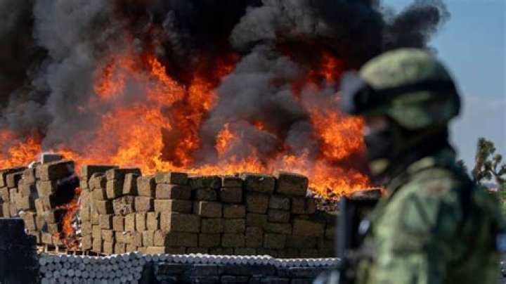 Unveiling the Charm of "Video No Me Pises Pa"