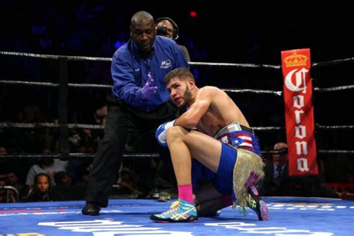 Unveiling the Journey of Prichard Colon: A Fighter's Tale