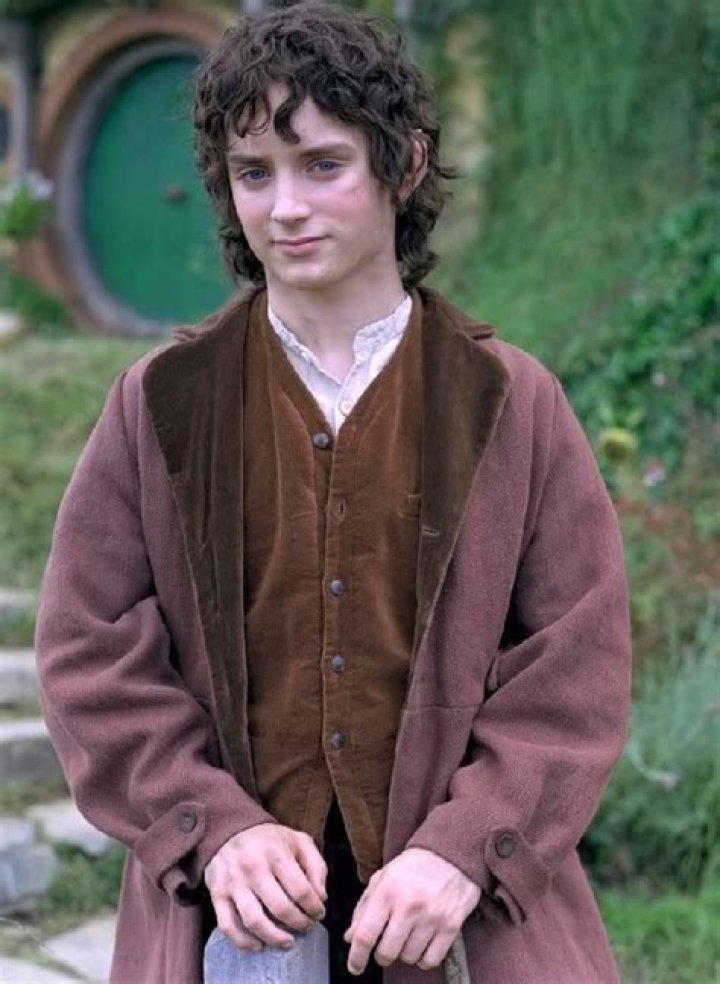 Unveiling the Journey of the LOTR Frodo Actor