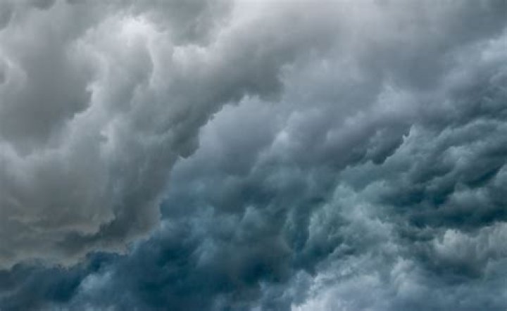 Unveiling the Phenomenon of Gina Wap: A Journey Through Trend and Talent