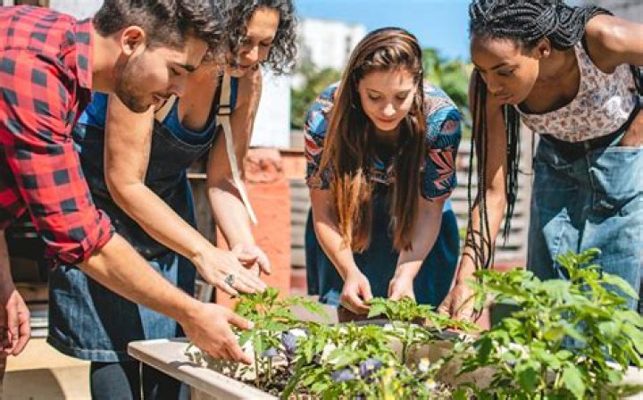 What Does YMCA Mean? A Comprehensive Guide to the World's Oldest Youth Organization