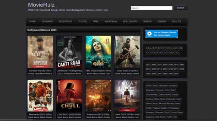 Why Movierulz 4u is a Controversial Hub for Movie Enthusiasts
