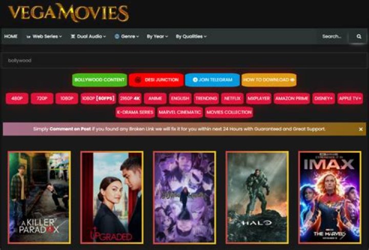 Why You Should Reconsider Using Vegamovies.org for Streaming Movies